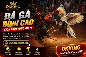 Ứng dụng di động OKKING