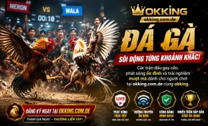 IwinClub Đá Gà trên mobile