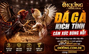 IwinClub Đá Gà giao diện trận live
