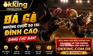 IwinClub Đá Gà danh sách kèo